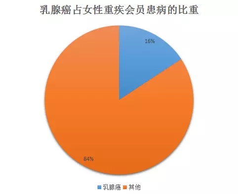 3.webp.jpg 3.webp.jpg