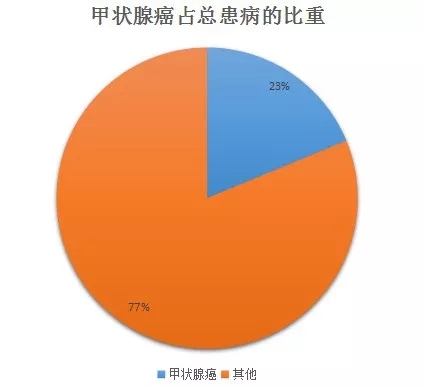 5.webp.jpg 5.webp.jpg