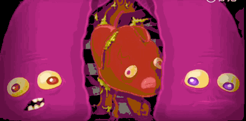 7.gif