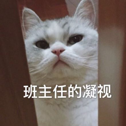 图片23.png