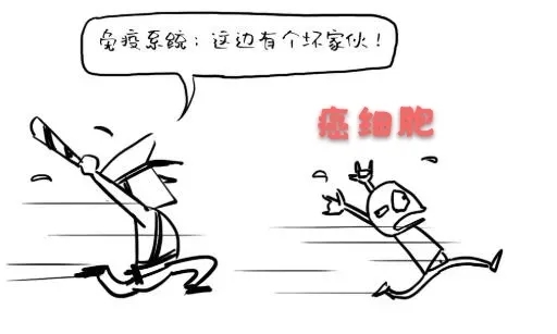 07.webp.jpg