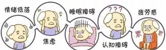 640.webp (3).jpg