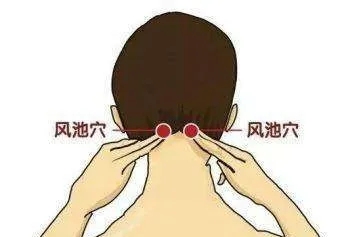 13.webp.jpg